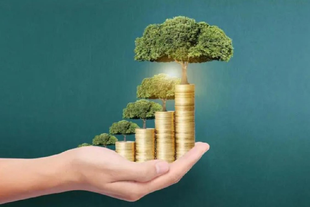 深圳光明、大鹏新区民间空放私人借款全天候专业服务